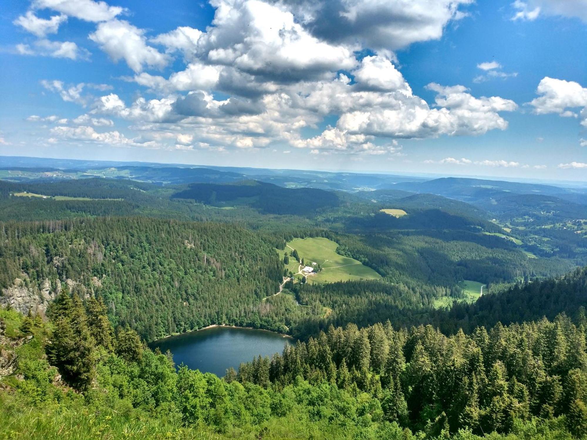 Ferienwohnung Seeblick Nr 2 5-Zimmerwohnung - Feldberg Baerental Rotwasser Kültér fotó