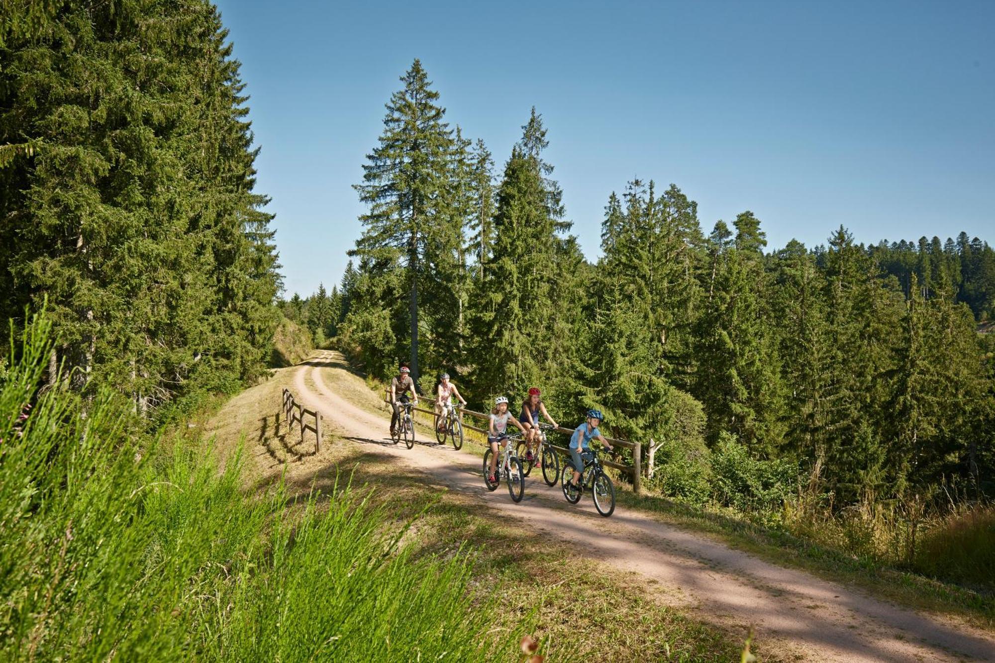 Ferienwohnung Seeblick Nr 2 5-Zimmerwohnung - Feldberg Baerental Rotwasser Kültér fotó