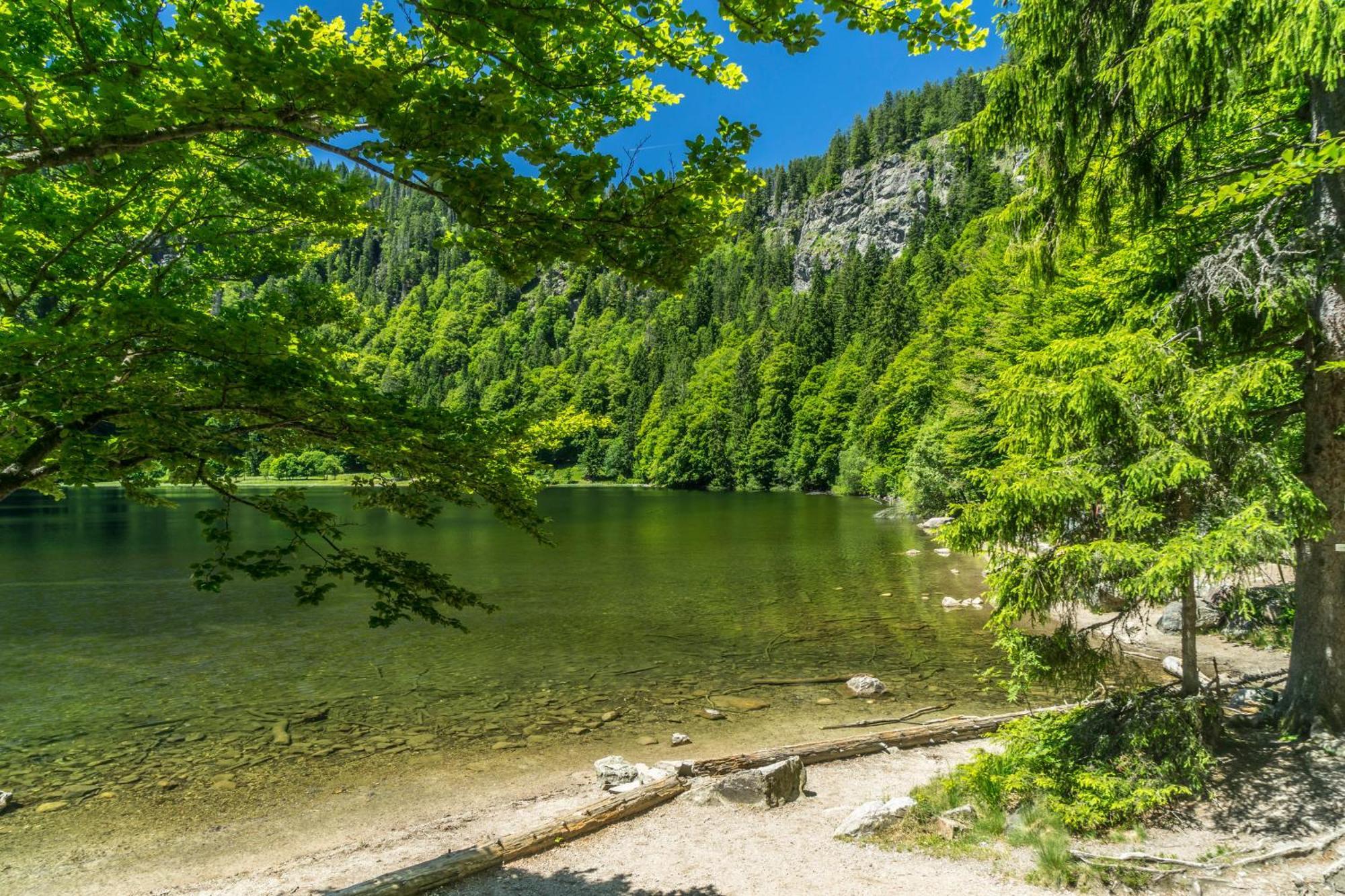 Ferienwohnung Seeblick Nr 2 5-Zimmerwohnung - Feldberg Baerental Rotwasser Kültér fotó